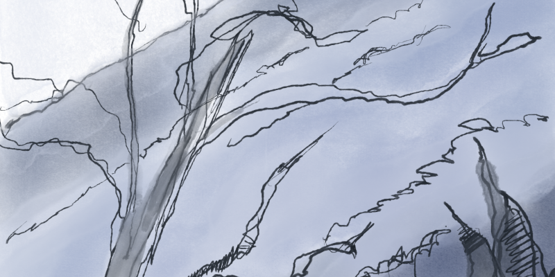 Fog and dead branches